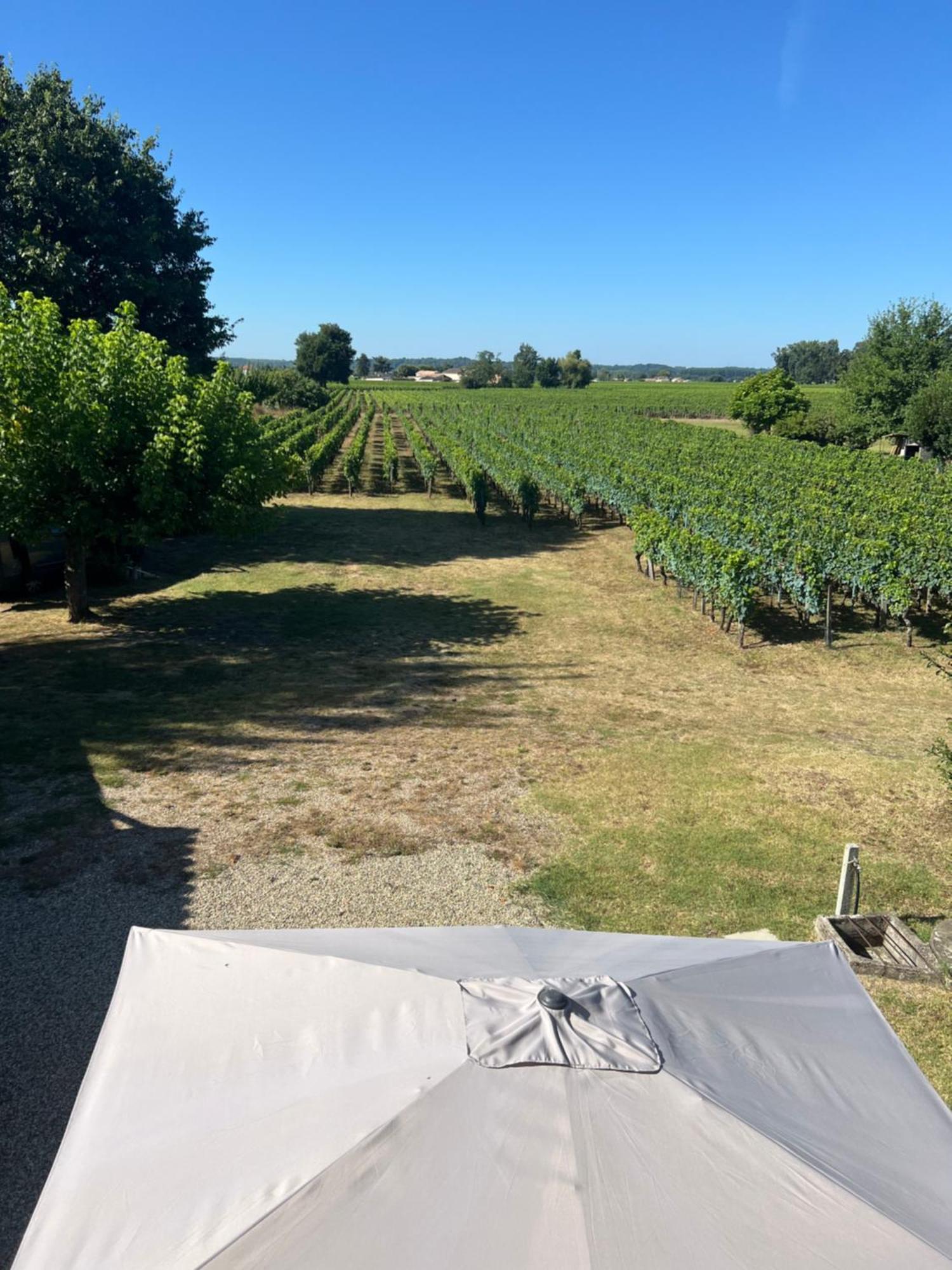 Gite Le Clos Saint-Sulpice-de-Faleyrens Buitenkant foto